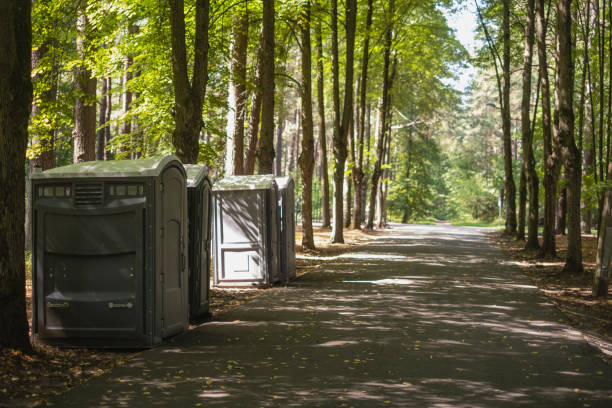 Best Porta potty delivery and setup  in Dansville, NY